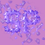 Strumento online unico per testi PNG con diversi effetti