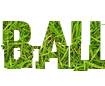 Font belli con diversi sfondi png
