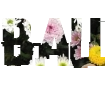 Font belli con diversi sfondi png