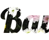 Il tuo testo online con sfondo fiori - bel carattere PNG Lobster