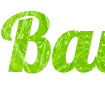 Scrivi un titolo online bello con lettere su uno sfondo lime - Font Lobster