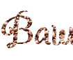 Generatore di caratteri png belli