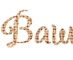 Generatore di caratteri png belli